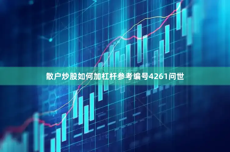 散户炒股如何加杠杆参考编号4261问世