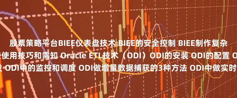 股票策略平台BIEE仪表盘技术 BIEE的安全控制 BIEE制作复杂报表和仪表盘 BIEE的一些使用技巧和需知 Oracle ETL技术（ODI）ODI的安装 ODI的配置 ODI的映射开发 ODI包的开发 ODI中的监控和调度 ODI做增量数据捕获的3种方法 ODI中做实时ETL的方法 ODI使用的一些技巧 项目演示实施方法 需求梳理 建模 演示ETL完整过程 演示展现发布于：北京市
